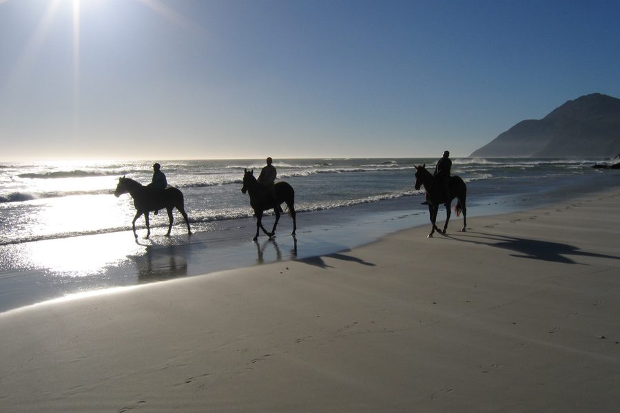 Drei Reiter auf Pferden am Sandstrand im Gegenlicht